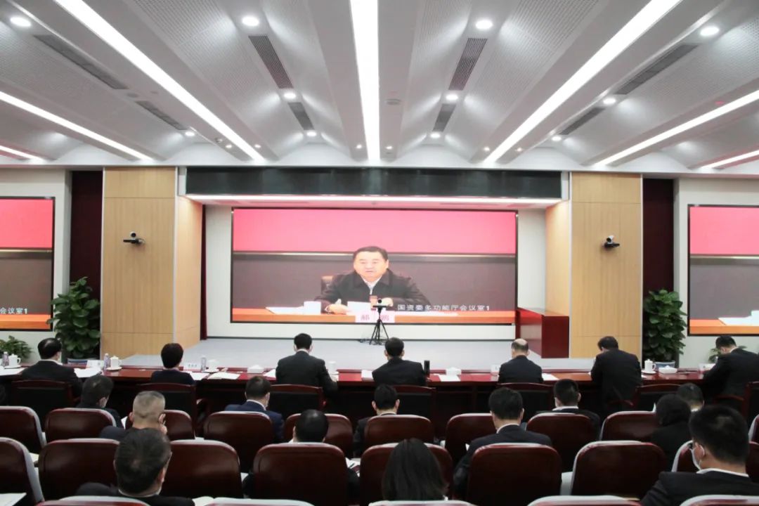 		尊龙凯时集团认真转达学习贯彻党的二十大精神_市场绩效_尊龙凯时集团有限公司	