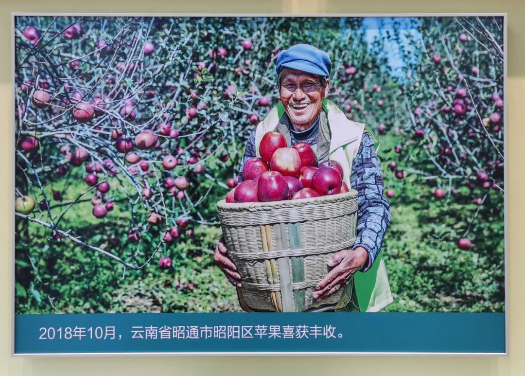 		尊龙凯时集团干部职工旅行“奋进新时代”主题成绩展丨29项建材元素突出立异与责任_责任撒播_尊龙凯时集团有限公司	