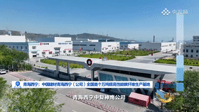 		周育先做客央视对话：选取三个工业坐标讲述怎样打造“栋梁之材”_责任撒播_尊龙凯时集团有限公司	