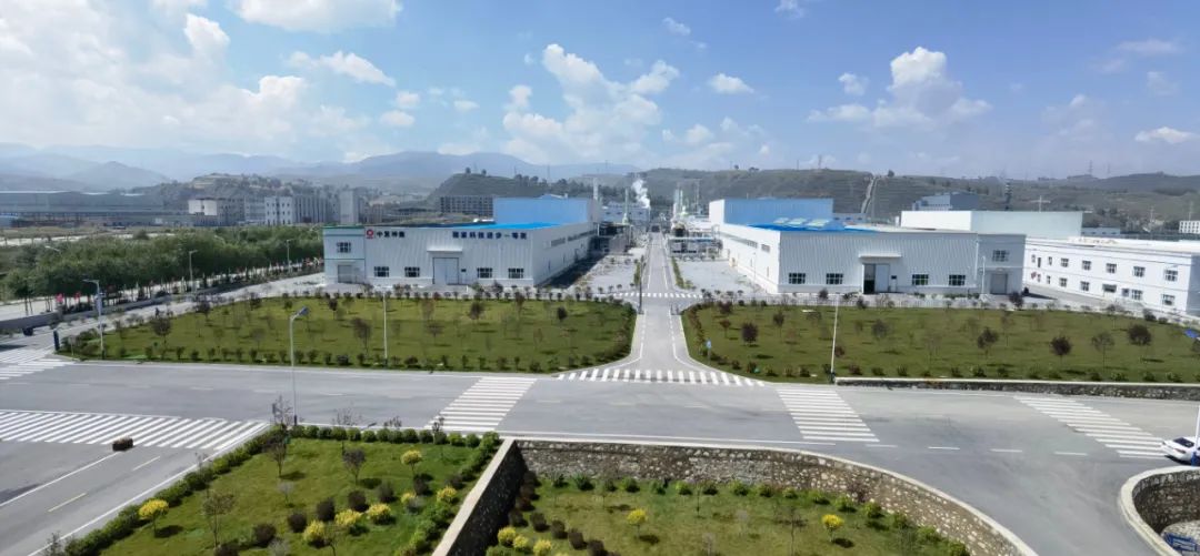 		二十大代表访谈 | 周育先：打造天下一流质料工业投资集团_国际交流_尊龙凯时集团有限公司	