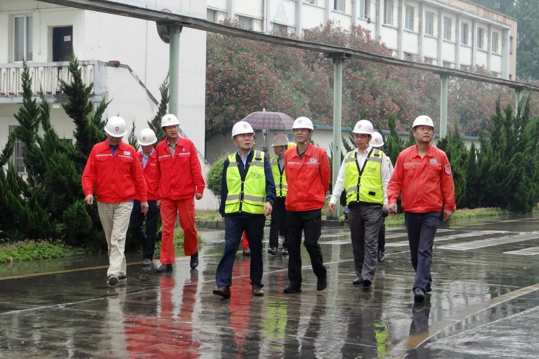 		决战四序度│西南水泥：“党建向导员制”的刷新立异之路_市场绩效_尊龙凯时集团有限公司	