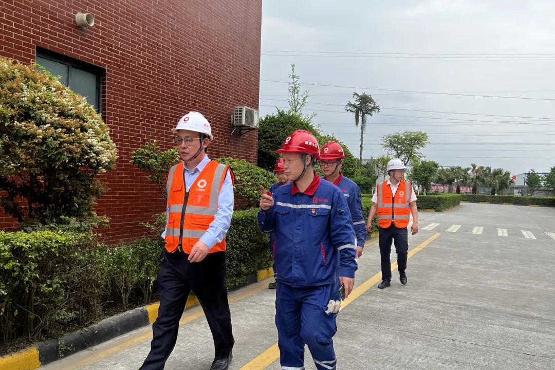 		决战四序度│西南水泥：“党建向导员制”的刷新立异之路_市场绩效_尊龙凯时集团有限公司	