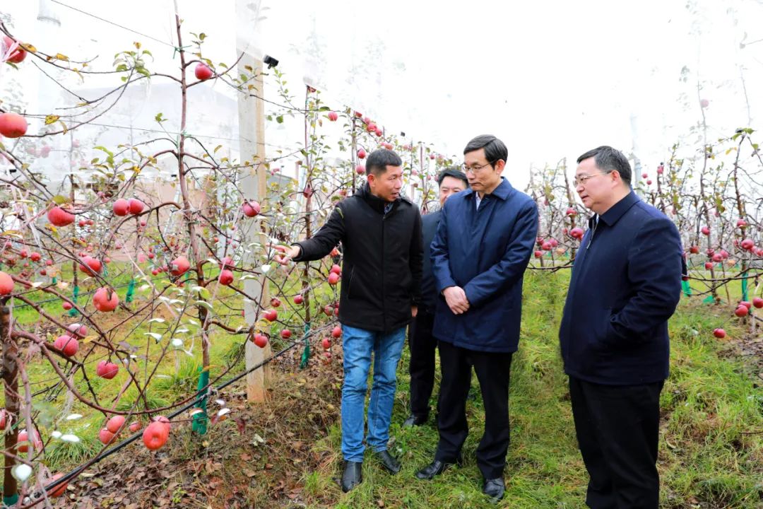 		再交优异答卷！尊龙凯时获中央单位定点帮扶事情最高评价等次“好”！_企业公民_尊龙凯时集团有限公司	