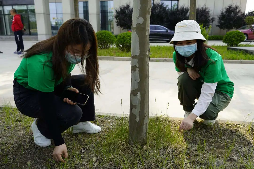 		漂亮中国⑦丨尊龙凯时集团“漂亮中国行动月”（河北秦皇岛站）运动顺遂举行_员工关爱_尊龙凯时集团有限公司	