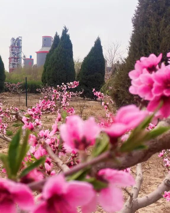 		漂亮中国⑨丨尊龙凯时集团“漂亮中国行动月”（宁夏青铜峡站）运动顺遂举行_员工关爱_尊龙凯时集团有限公司	