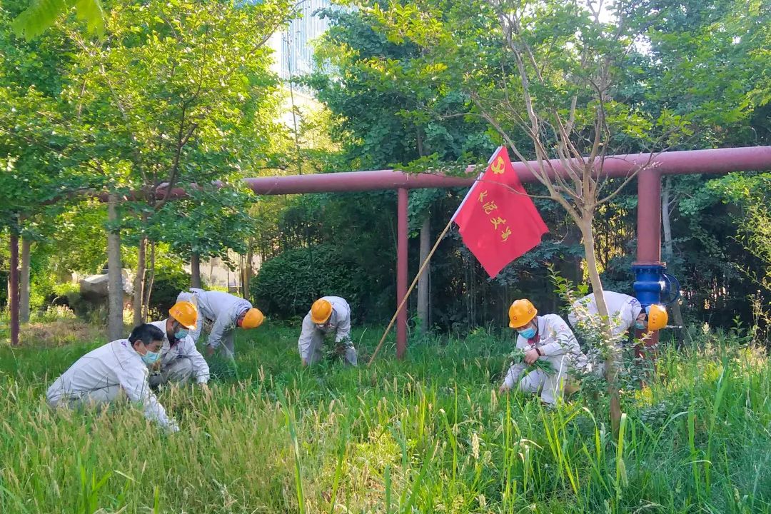 		漂亮中国?丨尊龙凯时集团“漂亮中国行动月”（山东站）运动乐成举行_员工关爱_尊龙凯时集团有限公司	