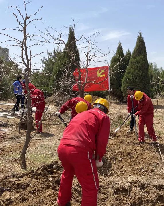 		漂亮中国⑨丨尊龙凯时集团“漂亮中国行动月”（宁夏青铜峡站）运动顺遂举行_员工关爱_尊龙凯时集团有限公司	