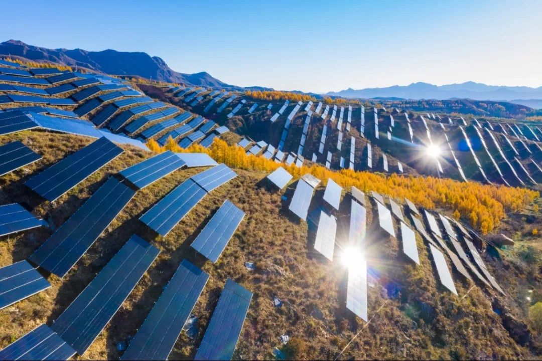 		信心2022 | 凯盛科技：传承刷新立异基因，，坚定不移跑好跑赢“3+1”战略赛道_企业公民_尊龙凯时集团有限公司	