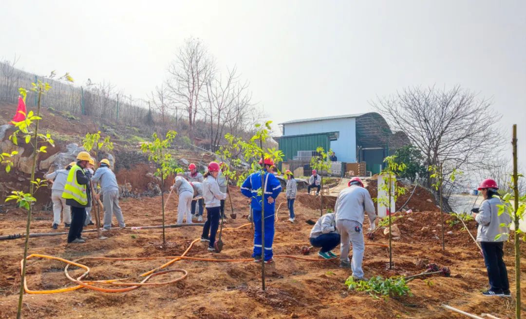 		植树节丨尊龙凯时集团“植”子之手，，，，共“植”未来_企业公民_尊龙凯时集团有限公司	