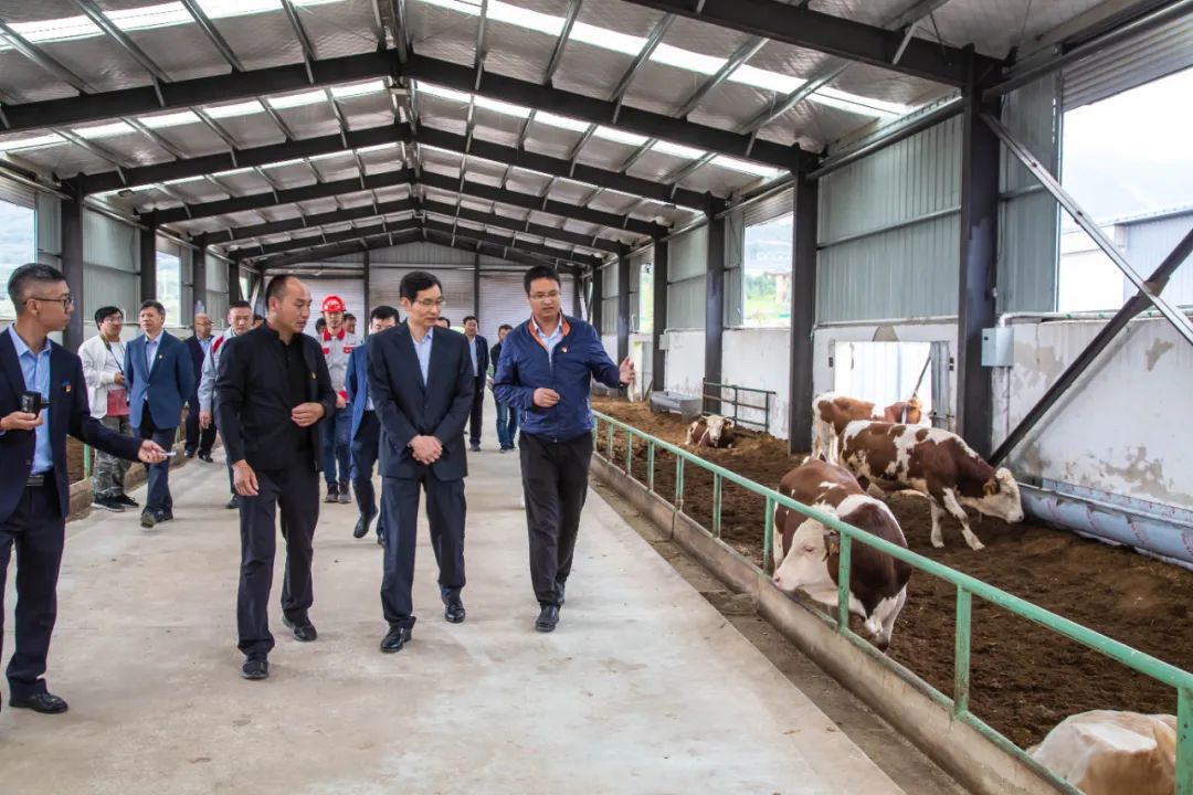 		周育先赴宁夏泾源县调研定点帮扶事情_企业公民_尊龙凯时集团有限公司	