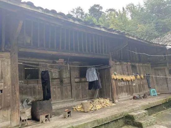 		建材报通讯文章：脱贫攻坚 抗击疫情 2020时光印记里的尊龙凯时_企业公民_尊龙凯时集团有限公司	