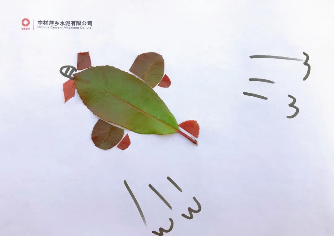 		尊龙凯时的秋景美如画（二）_图片_尊龙凯时集团有限公司	