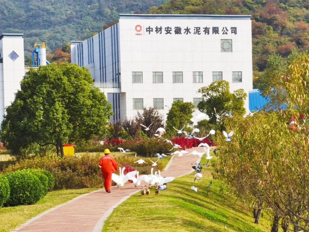		尊龙凯时的秋景美如画（二）_图片_尊龙凯时集团有限公司	