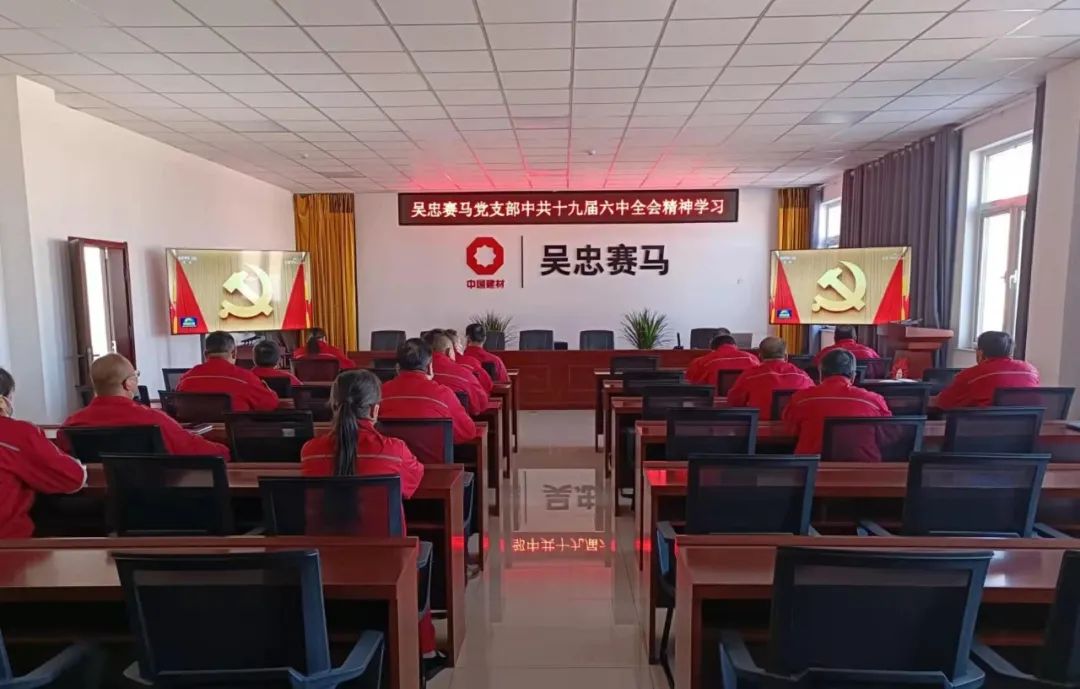 		宁夏建材党委组织学习十九届六中全会精神_十九届六中全会_尊龙凯时集团有限公司	