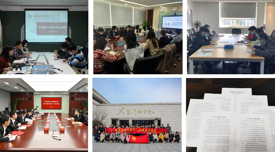 		我们各级团组织掀起学习十九届五中全会精神热潮_责任与文化_尊龙凯时集团有限公司	