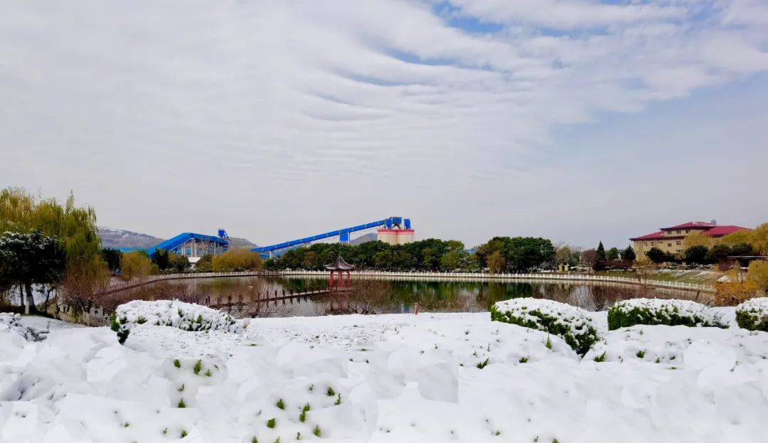 		雪花飘飘，，，，，，一起来浏览建材小同伴镜头下的漂亮雪景吧！_图片_尊龙凯时集团有限公司	