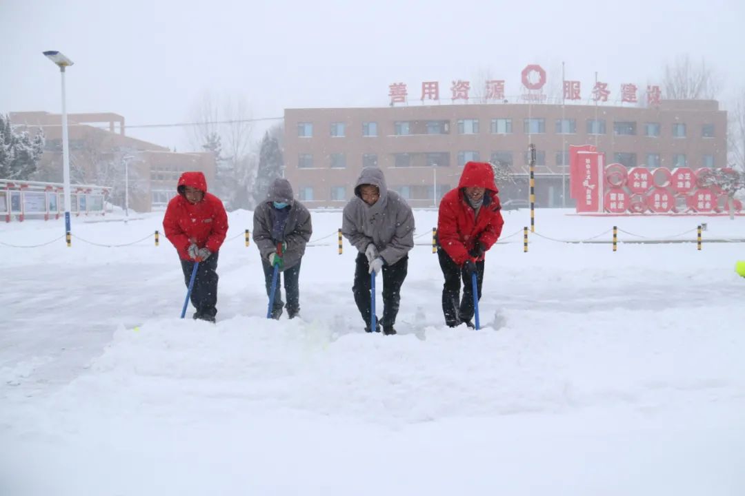 		雪花飘飘，，，，，，一起来浏览建材小同伴镜头下的漂亮雪景吧！_图片_尊龙凯时集团有限公司	