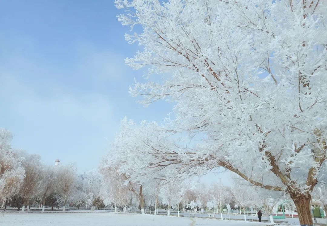 		雪花飘飘，，，，，，一起来浏览建材小同伴镜头下的漂亮雪景吧！_图片_尊龙凯时集团有限公司	