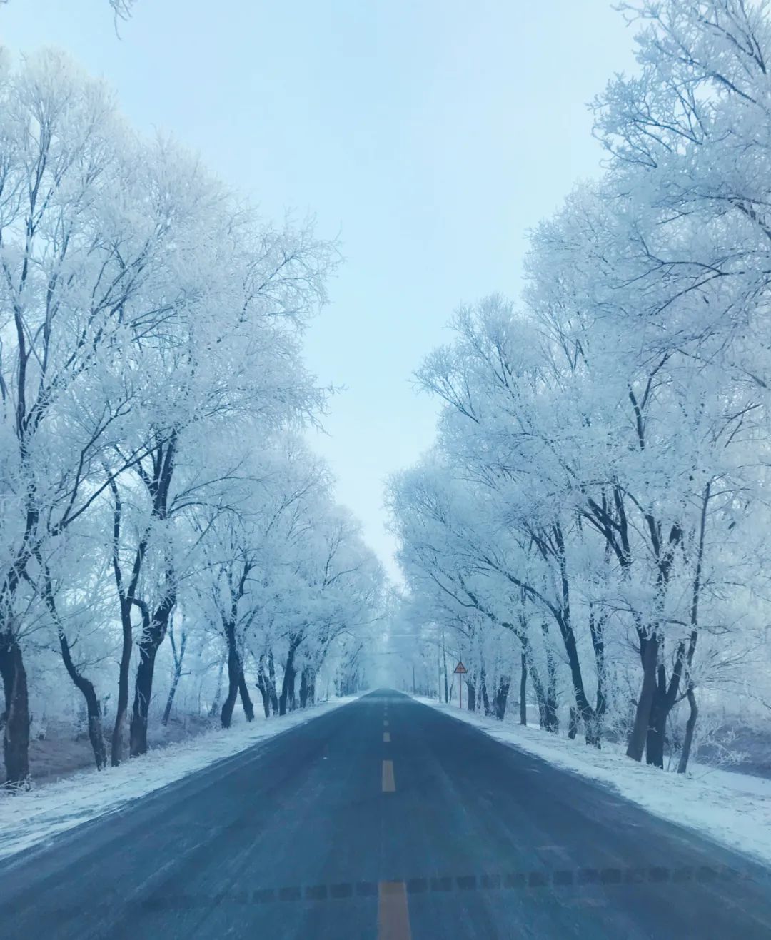 		雪花飘飘，，，，，，一起来浏览建材小同伴镜头下的漂亮雪景吧！_图片_尊龙凯时集团有限公司	