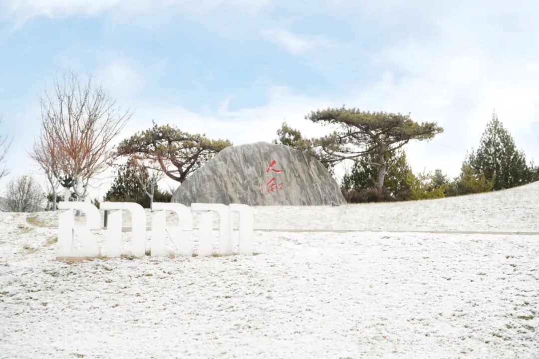 		雪花飘飘，，，，，，一起来浏览建材小同伴镜头下的漂亮雪景吧！_图片_尊龙凯时集团有限公司	