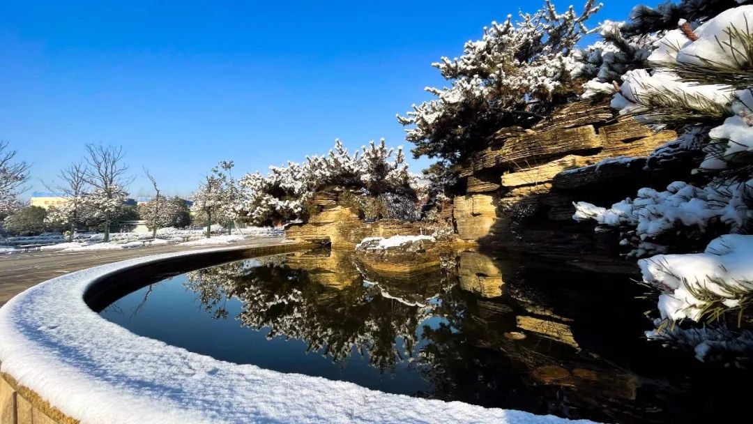 		雪花飘飘，，，，，，一起来浏览建材小同伴镜头下的漂亮雪景吧！_图片_尊龙凯时集团有限公司	