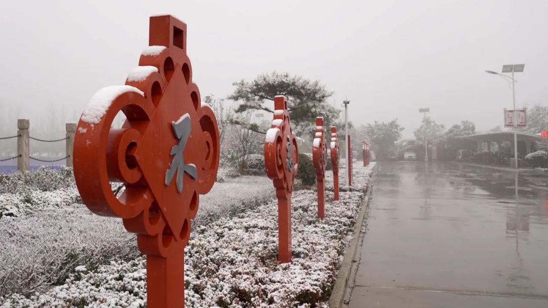 		雪花飘飘，，，，，，一起来浏览建材小同伴镜头下的漂亮雪景吧！_图片_尊龙凯时集团有限公司	