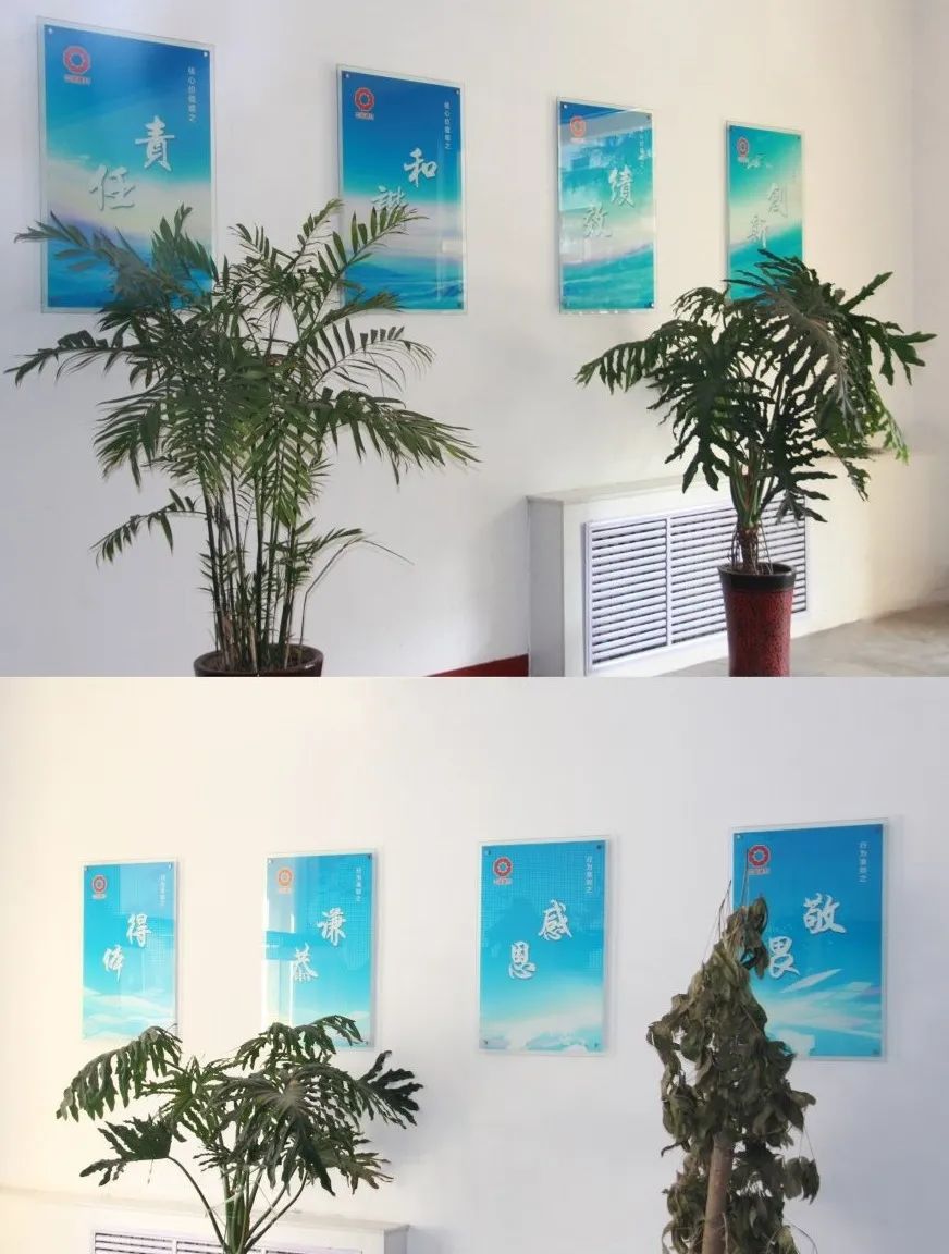 		企业文化宣贯 | 小料带你走进地勘中心，，，，感受他们的企业文化气氛_责任与文化_尊龙凯时集团有限公司	