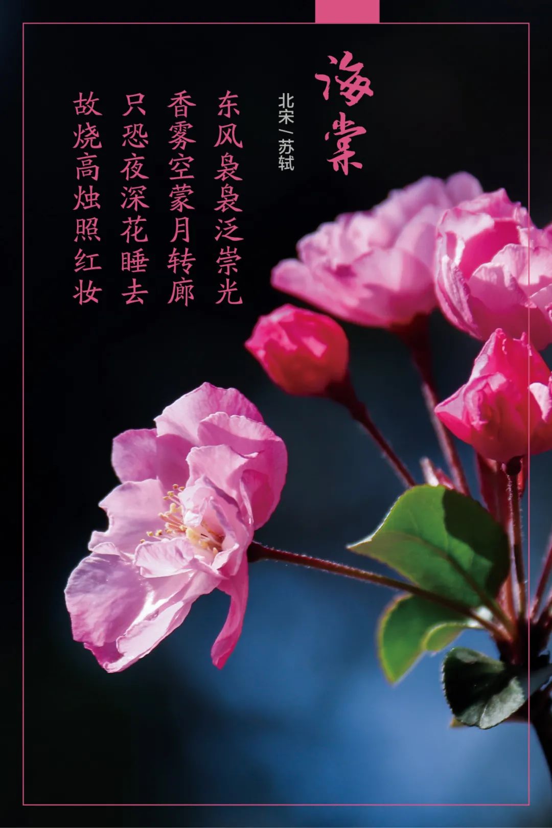 		清明，，，，，，来尊龙凯时工厂踏青赏花吧~_责任与文化_尊龙凯时集团有限公司	