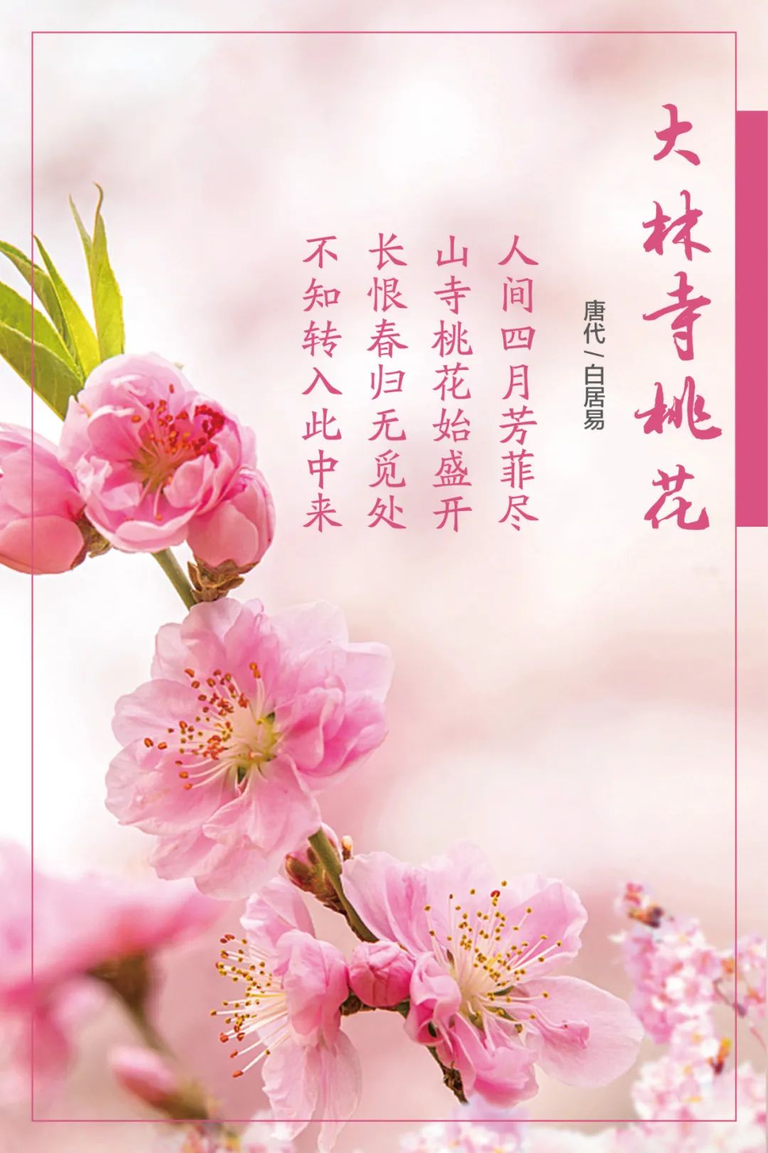 		清明，，，，，，来尊龙凯时工厂踏青赏花吧~_责任与文化_尊龙凯时集团有限公司	