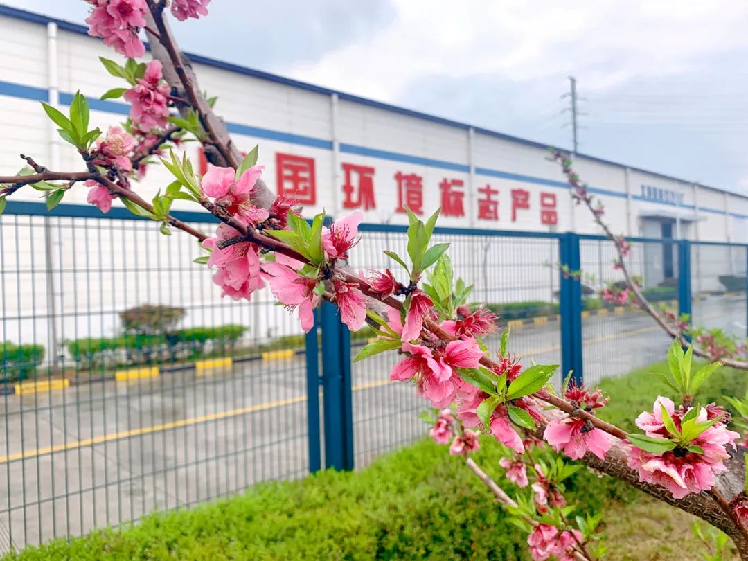 		清明，，，，，，来尊龙凯时工厂踏青赏花吧~_责任与文化_尊龙凯时集团有限公司	