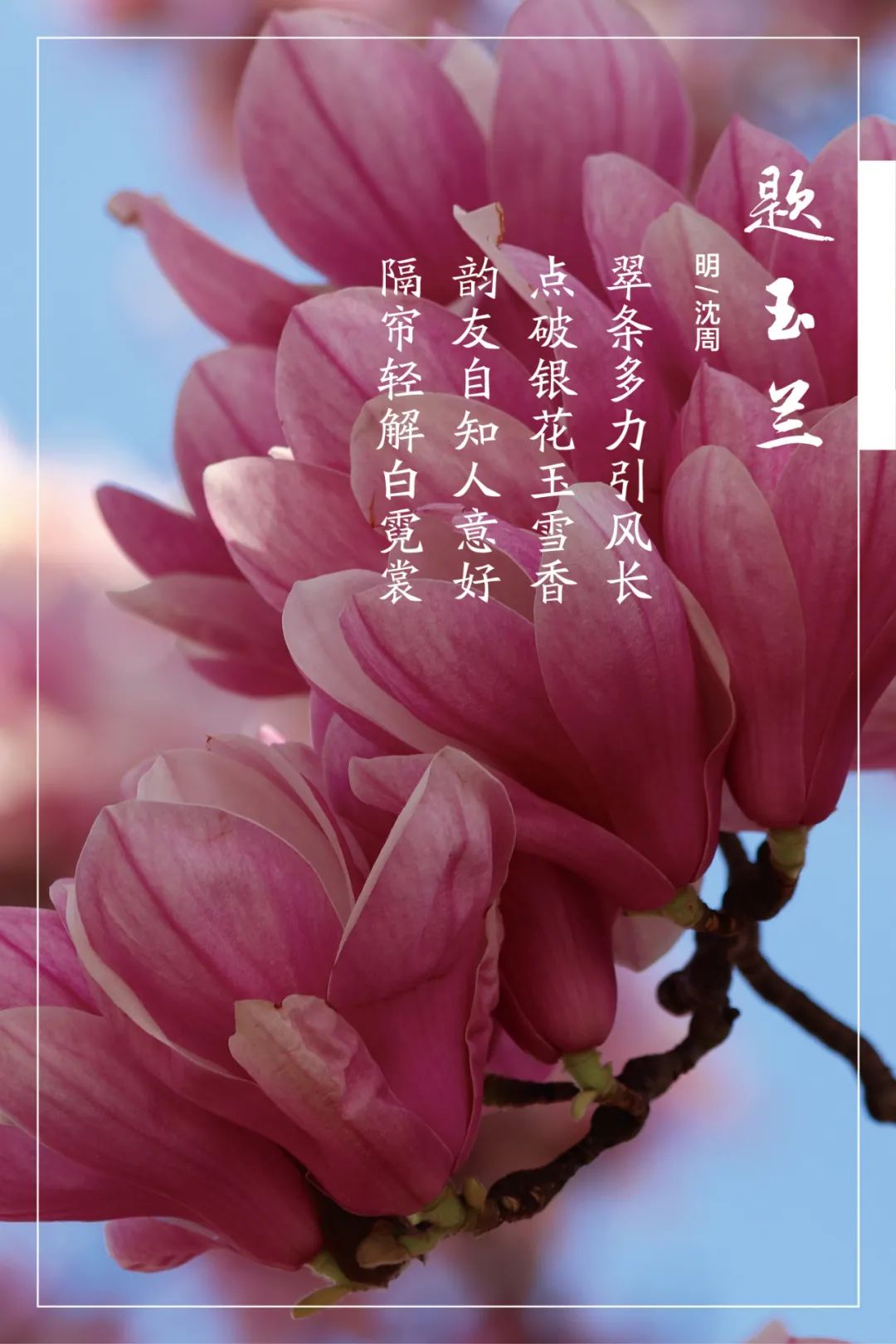 		清明，，，，，，来尊龙凯时工厂踏青赏花吧~_责任与文化_尊龙凯时集团有限公司	