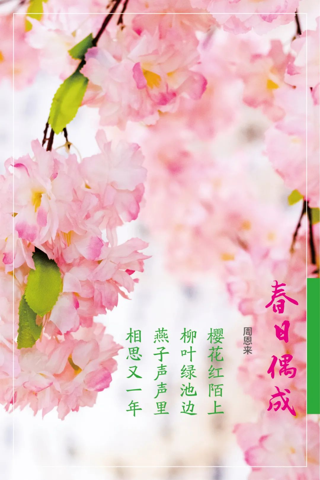 		清明，，，，，，来尊龙凯时工厂踏青赏花吧~_责任与文化_尊龙凯时集团有限公司	