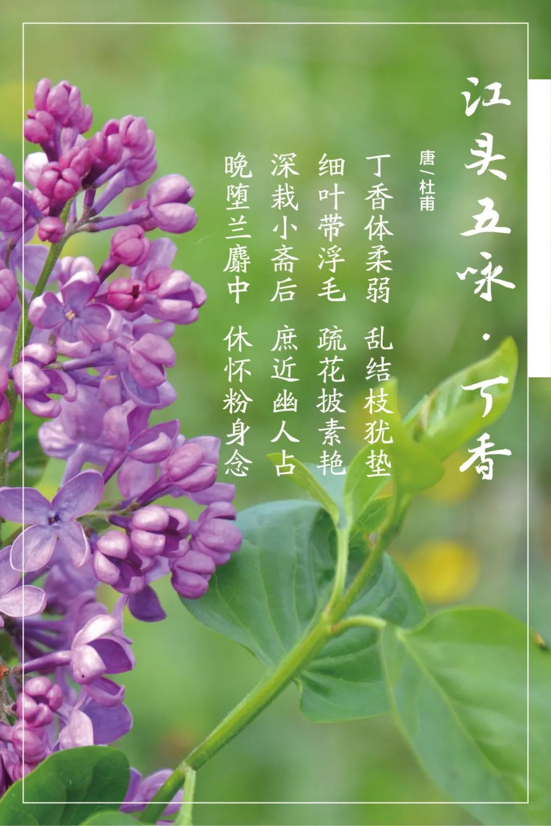 		清明，，，，，，来尊龙凯时工厂踏青赏花吧~_责任与文化_尊龙凯时集团有限公司	