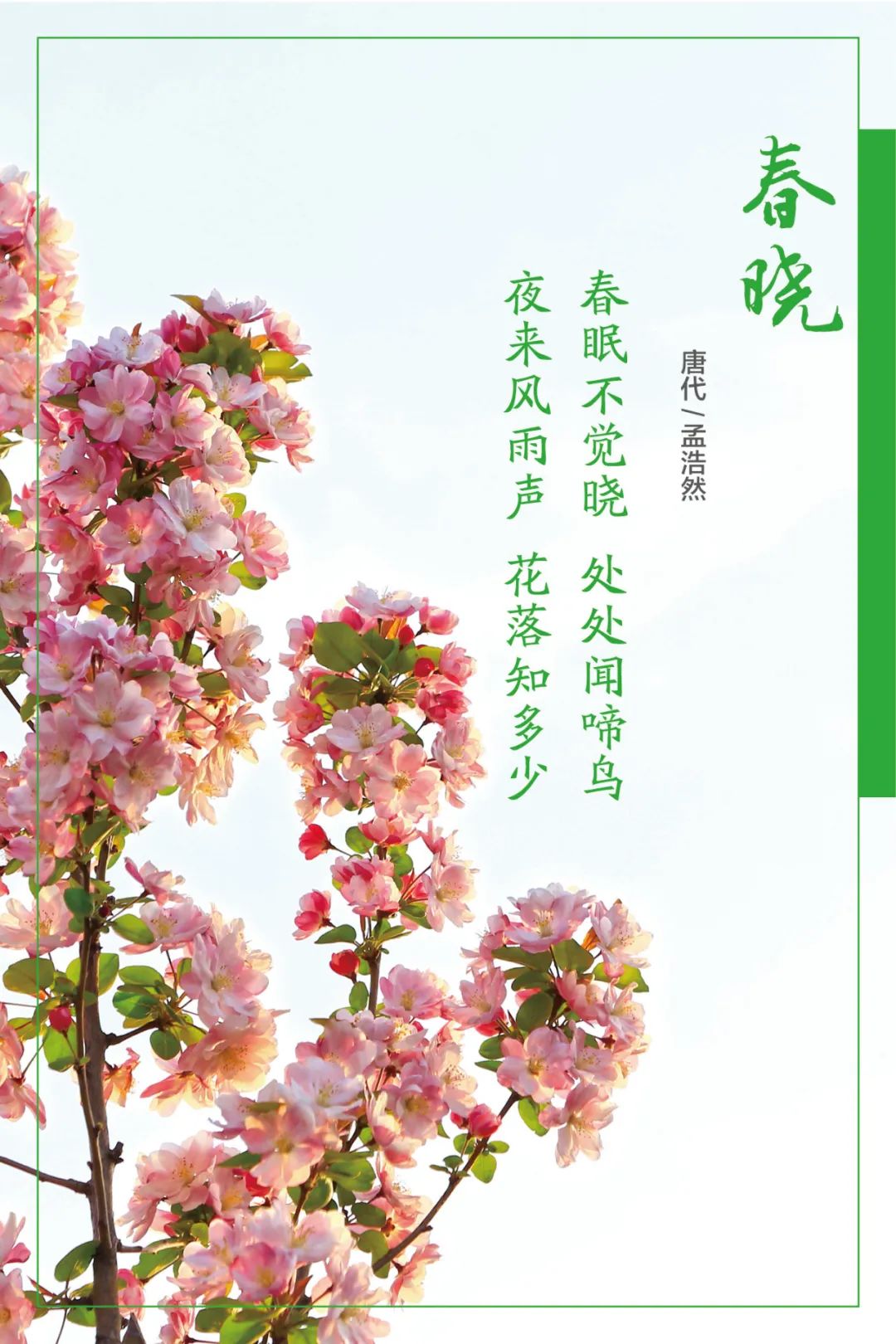 		清明，，，，，，来尊龙凯时工厂踏青赏花吧~_责任与文化_尊龙凯时集团有限公司	