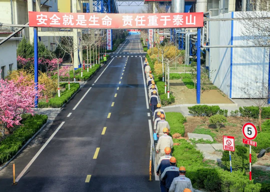 		清明，，，，，，来尊龙凯时工厂踏青赏花吧~_责任与文化_尊龙凯时集团有限公司	