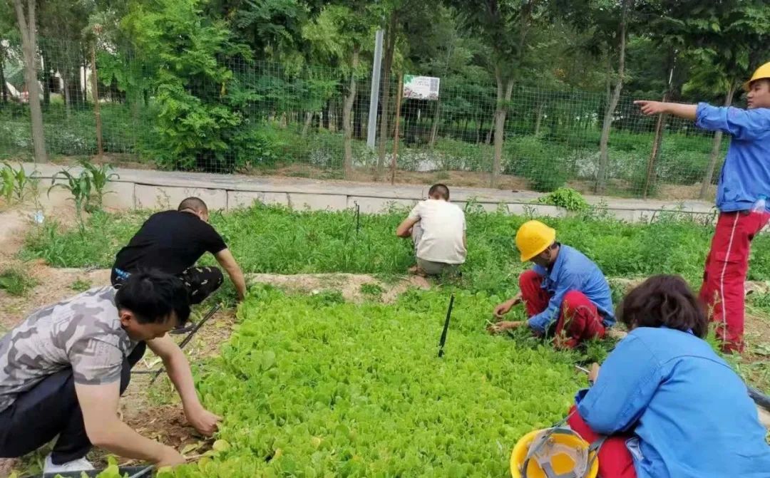 		办实事 暖人心 | 宁夏建材：专心用情解决好员工用餐问题_办实事暖人心_尊龙凯时集团有限公司	