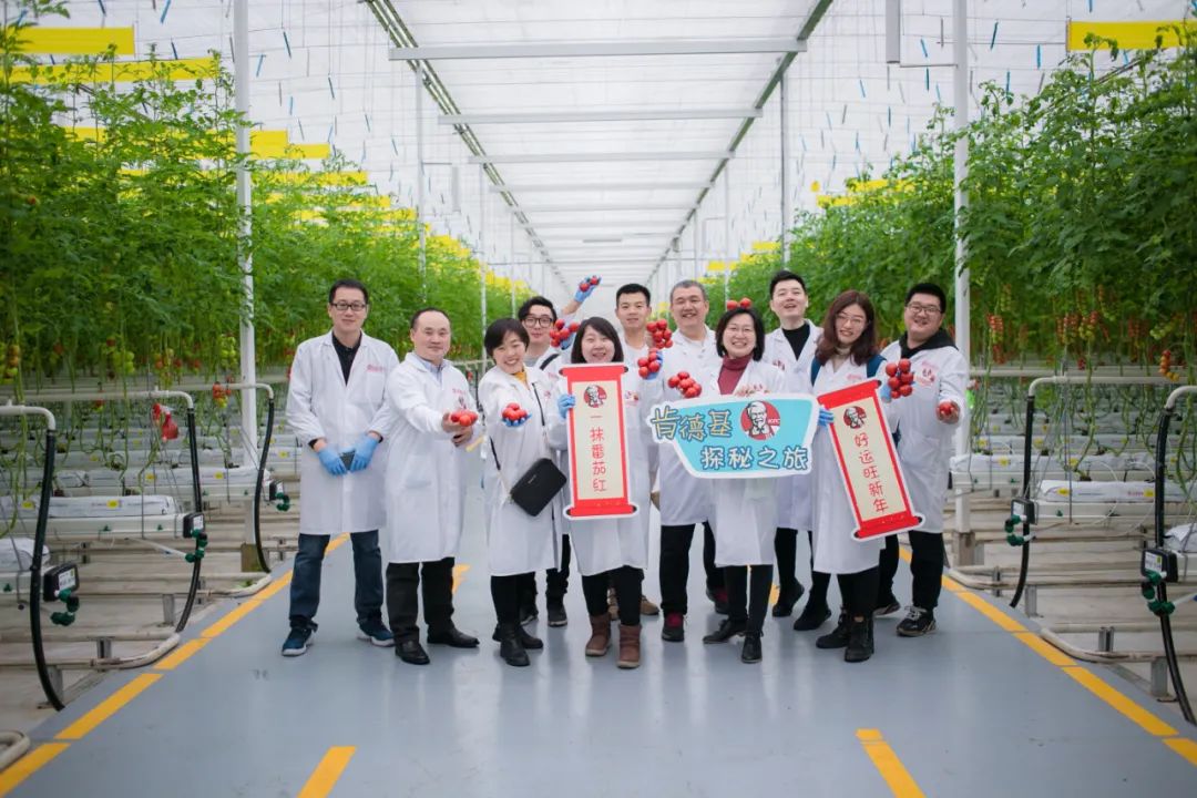 		办实事 暖人心 |尊龙凯时工程：科技助力“三农”，，，数字赋能“植物工厂”，，，为墟落振兴“办实事”_故事_尊龙凯时集团有限公司	