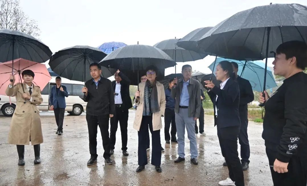 		孙力实赴宁夏回族自治区固原市泾源县调研墟落振兴事情_企业公民_尊龙凯时集团有限公司	