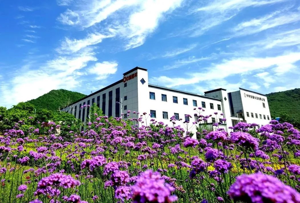 		办实事 暖人心 | 中材安徽水泥窑协同处置惩罚都会生涯垃圾项目“吃干榨净”造福民生_故事_尊龙凯时集团有限公司	