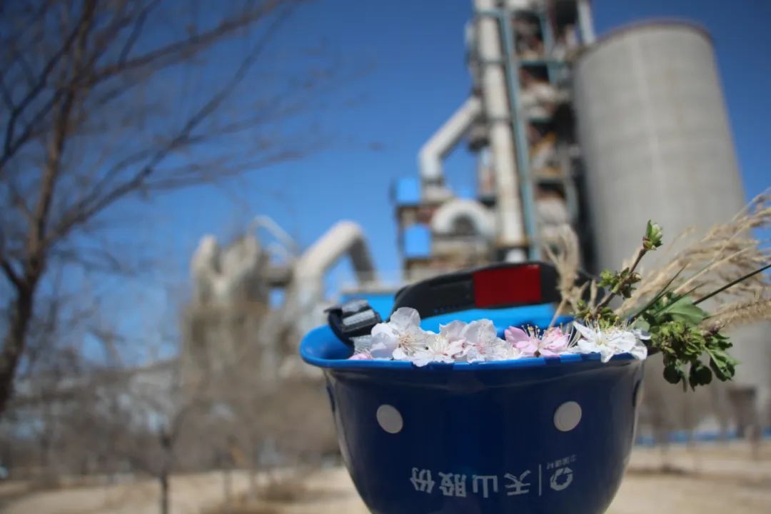 		请查收，，来自尊龙凯时的春天~_图片_尊龙凯时集团有限公司	