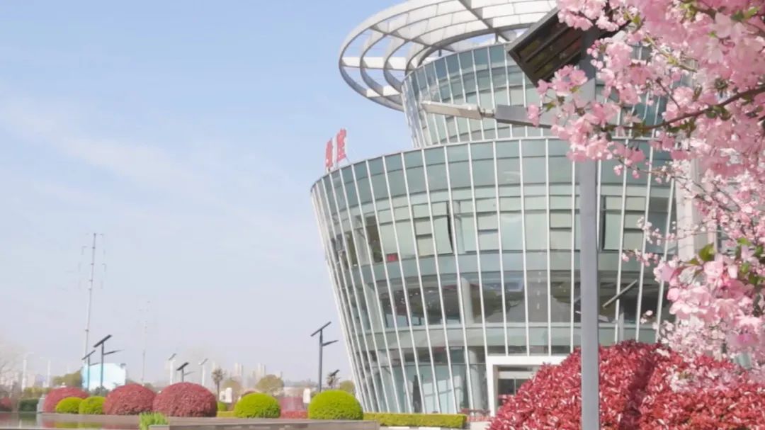 		请查收，，来自尊龙凯时的春天~_图片_尊龙凯时集团有限公司	