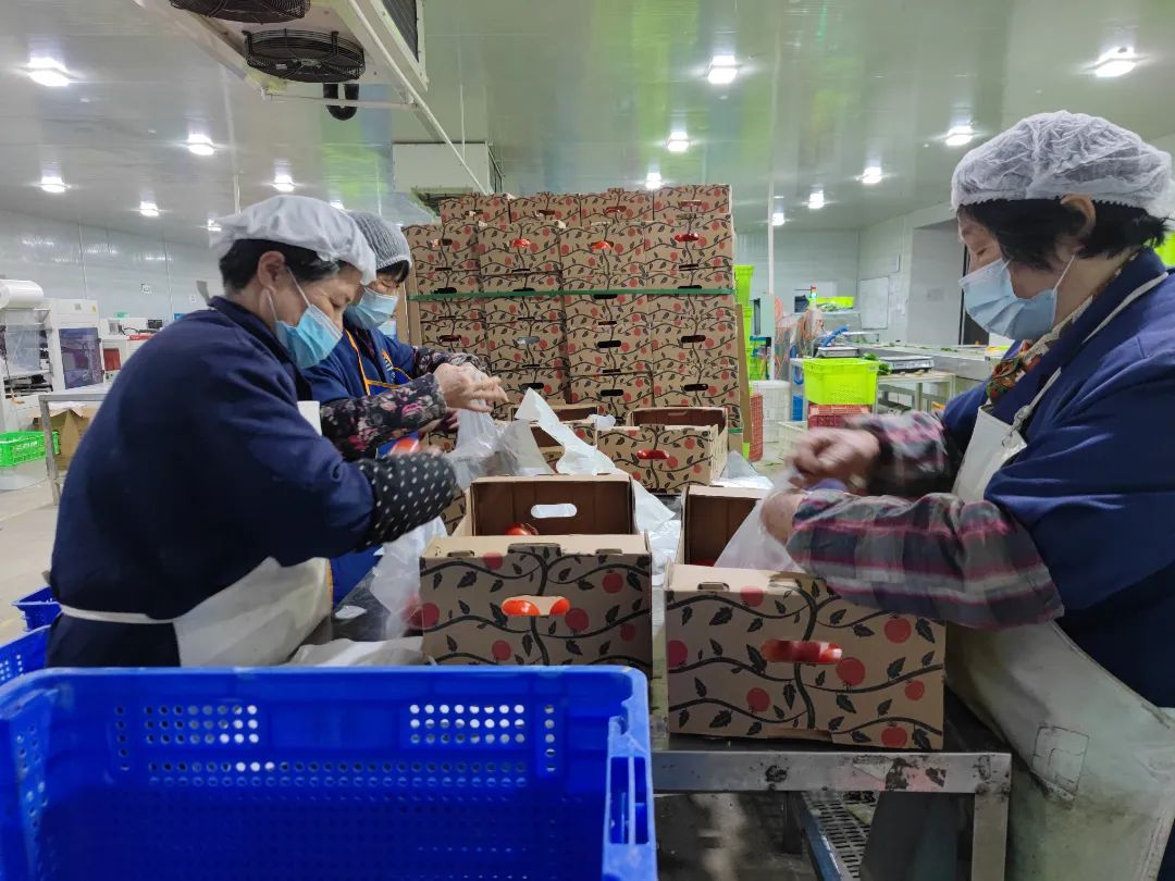 		最美抗疫自愿者 | 凯盛科技刘元军：自告奋勇、微光成炬，，，战疫保供的螺丝钉_人物_尊龙凯时集团有限公司	