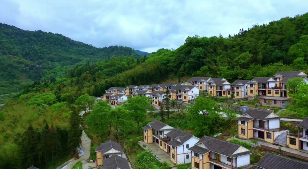 		外地媒体眼中的山乡巨变_媒体报道_尊龙凯时集团有限公司	