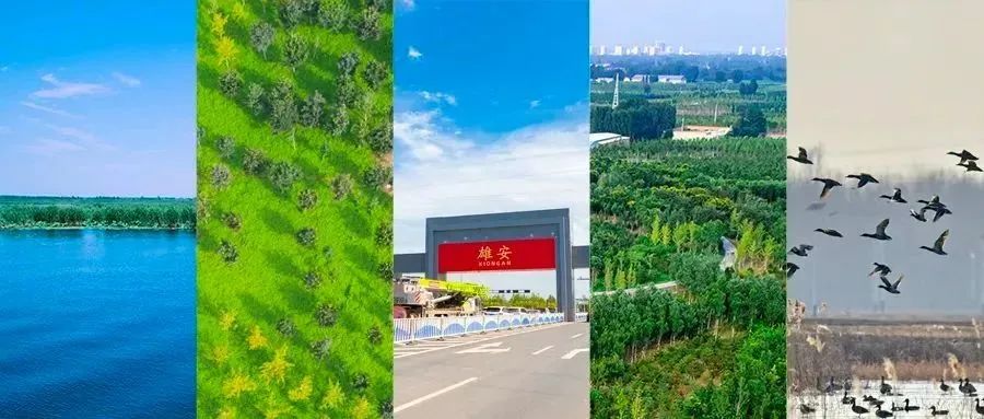 		水泥新故事｜保定中联：雄安建设 建材先行_故事_尊龙凯时集团有限公司	