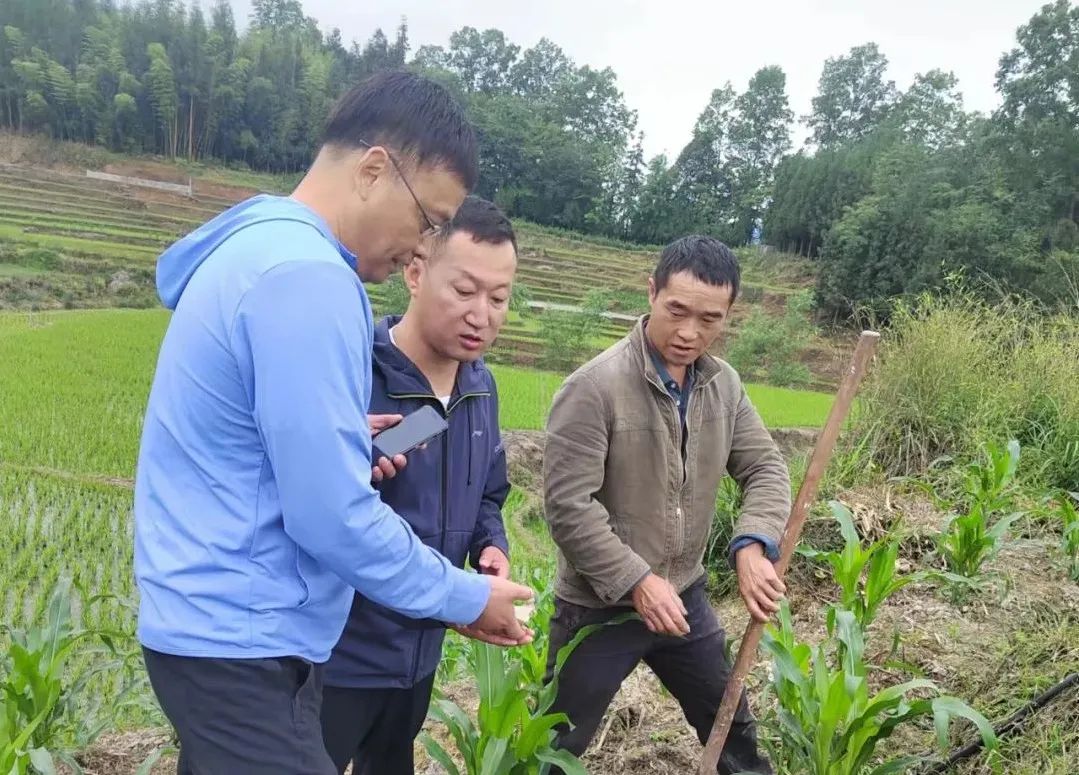		最美墟落振兴事情者 | 地勘中心罗小文：效劳下层守初心 倾情帮扶担使命_人物_尊龙凯时集团有限公司	