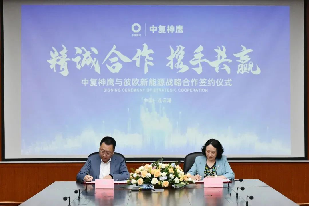  点赞！南方新质料绿色工业园签约、中材叶片巴西制造基地启动……_学习践悟_尊龙凯时集团有限公司 