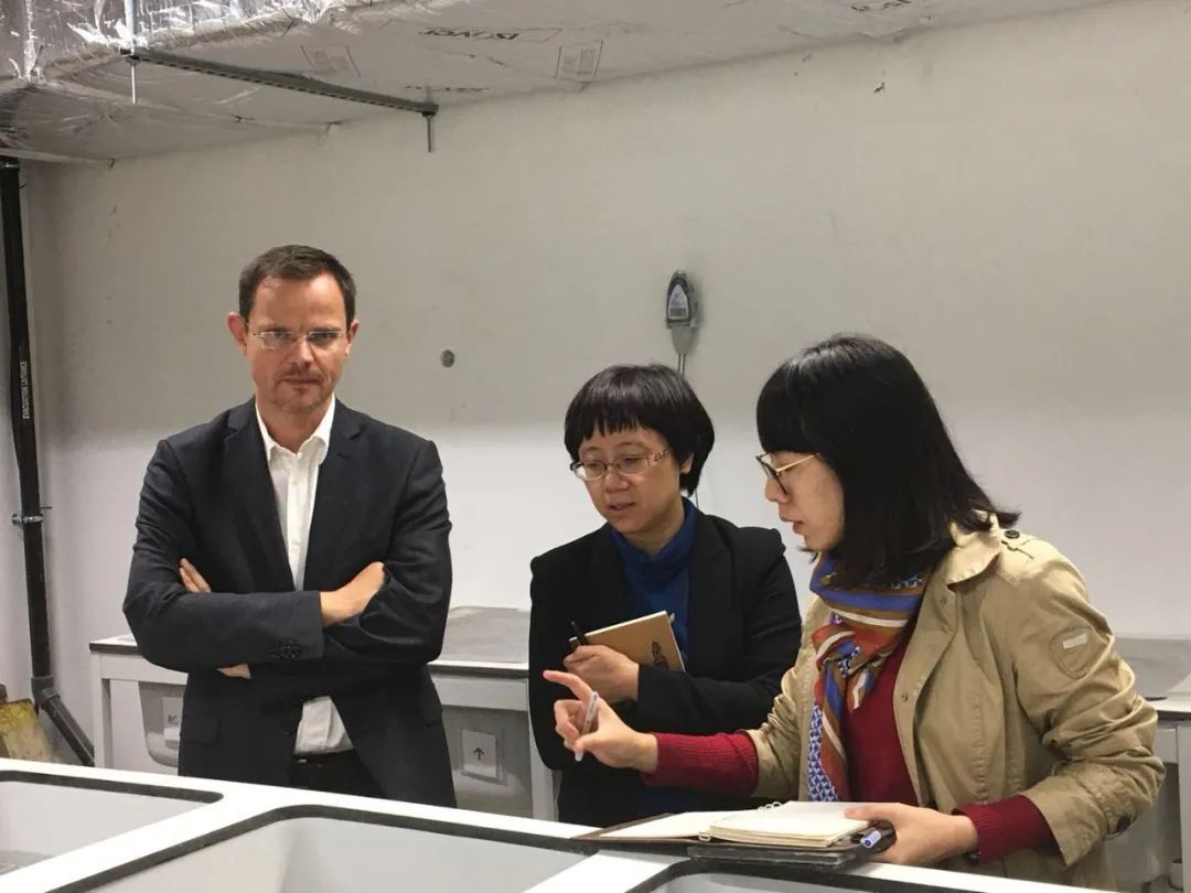 		最美科研先锋 | 国检集团戴平：为检测事业挥洒青春汗水_人物_尊龙凯时集团有限公司	