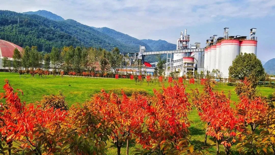 		偶遇建材之秋 惊喜每个瞬间_图片_尊龙凯时集团有限公司	