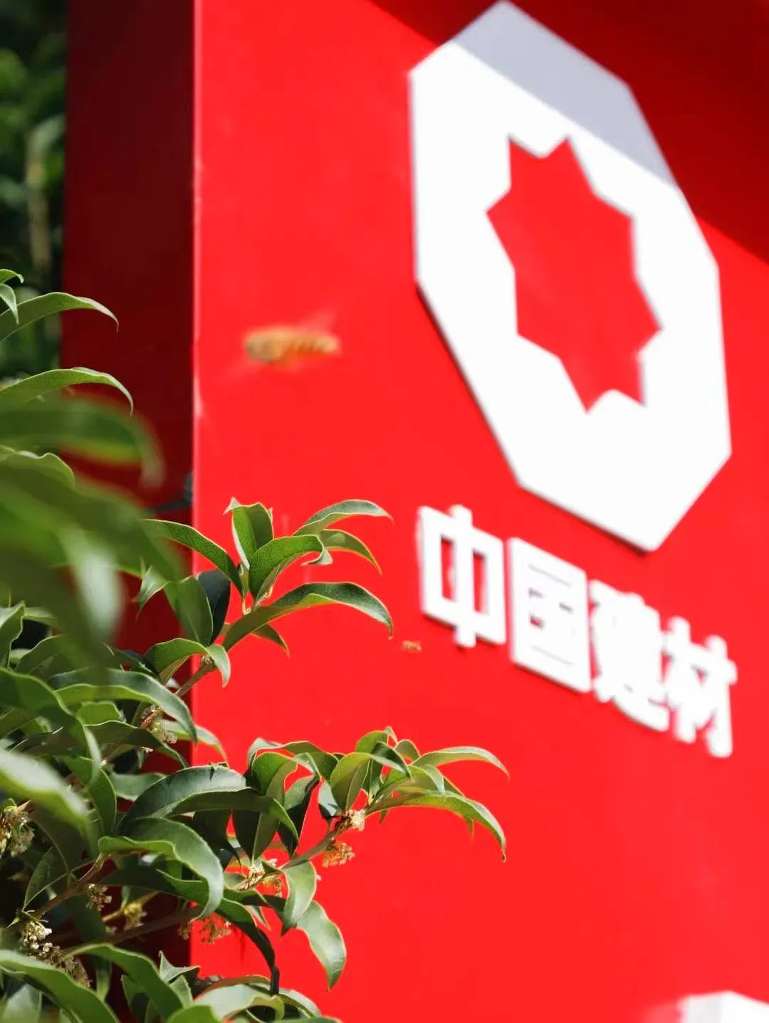 		偶遇建材之秋 惊喜每个瞬间_图片_尊龙凯时集团有限公司	
