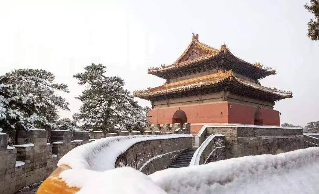 		新春回乡篇 | 建材人的归途景物，，返乡情浓_责任与文化_尊龙凯时集团有限公司	